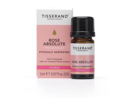 Tisserand Rose Absolute Ethically Harvested Essential Oil (2ml) Online Hot Sale