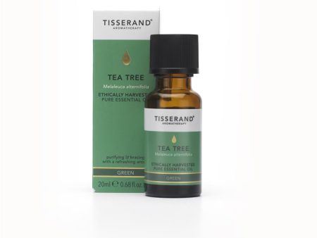 Tisserand Ethically Harvested Tea Tree Essential Oil (20ml) For Sale