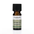 Tisserand Siberian Fir Wild Crafted Essential Oil (9ml) on Sale