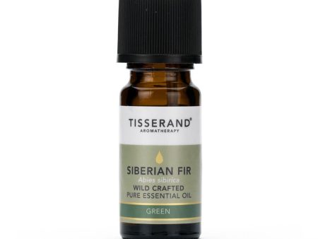 Tisserand Siberian Fir Wild Crafted Essential Oil (9ml) on Sale