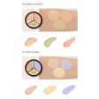 The Saem Cover Perfection Triple Pot Concealer Online Hot Sale