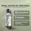 Jumiso Snail Mucin 95 + Peptide Facial Essence 140ml Online Hot Sale