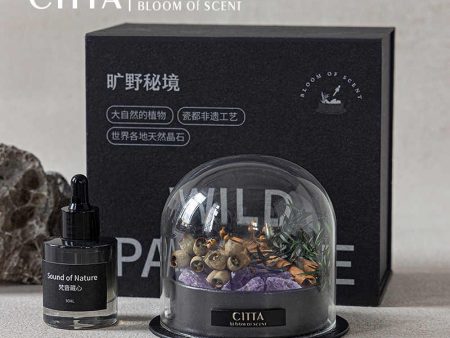 Citta Bloom of Scent Wild Paradise Crystal Stone Diffuser Aromatherapy Gift Set Online Sale